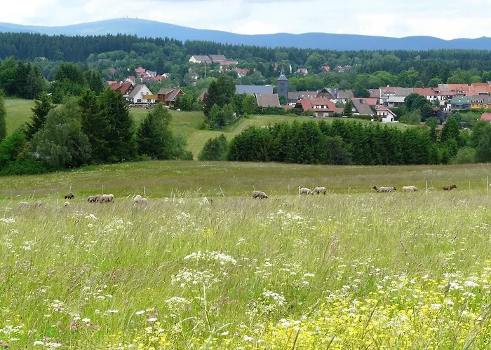 Semesterbostad Mueller *